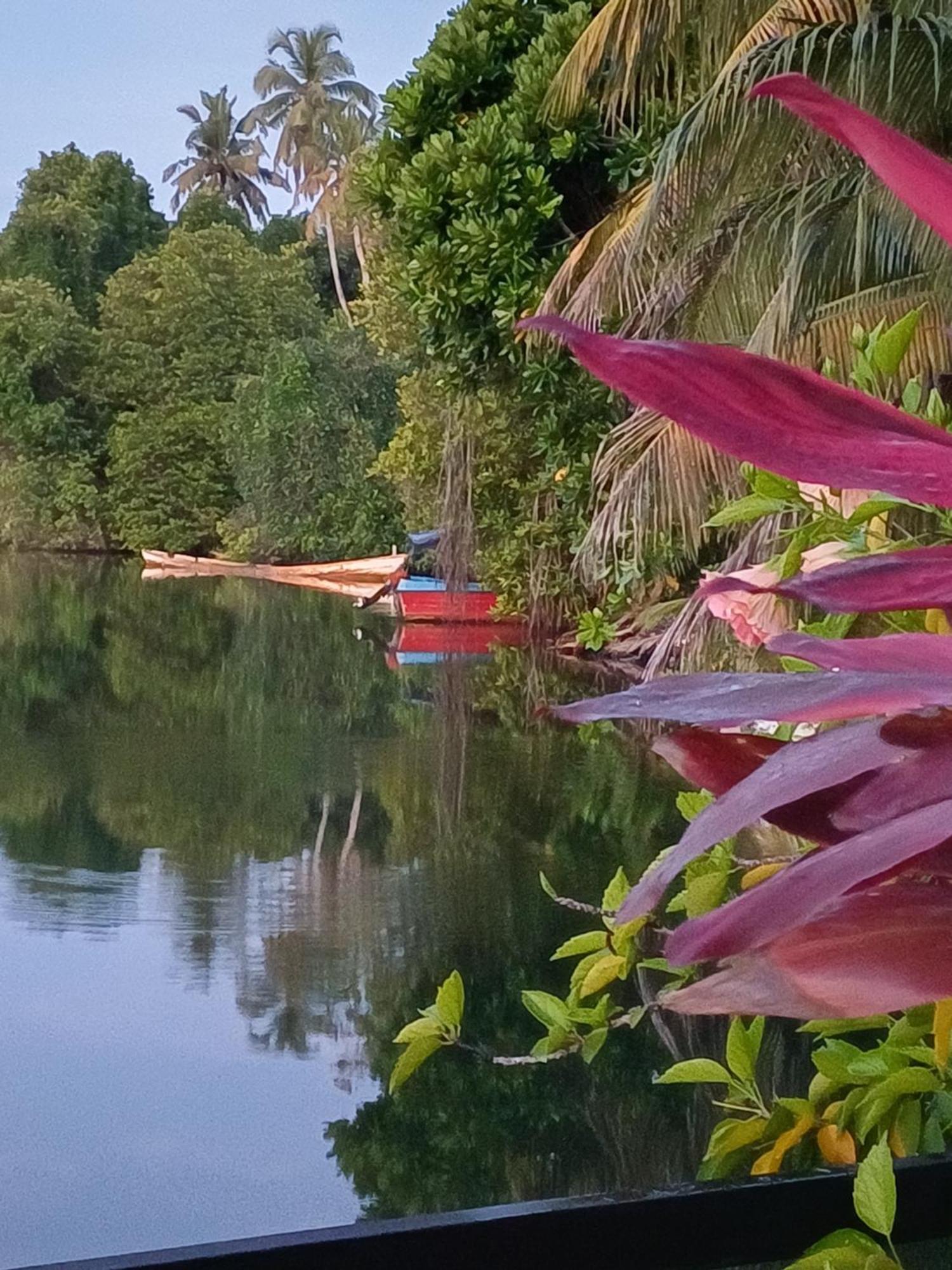Villa River View อลุทกามา ภายนอก รูปภาพ