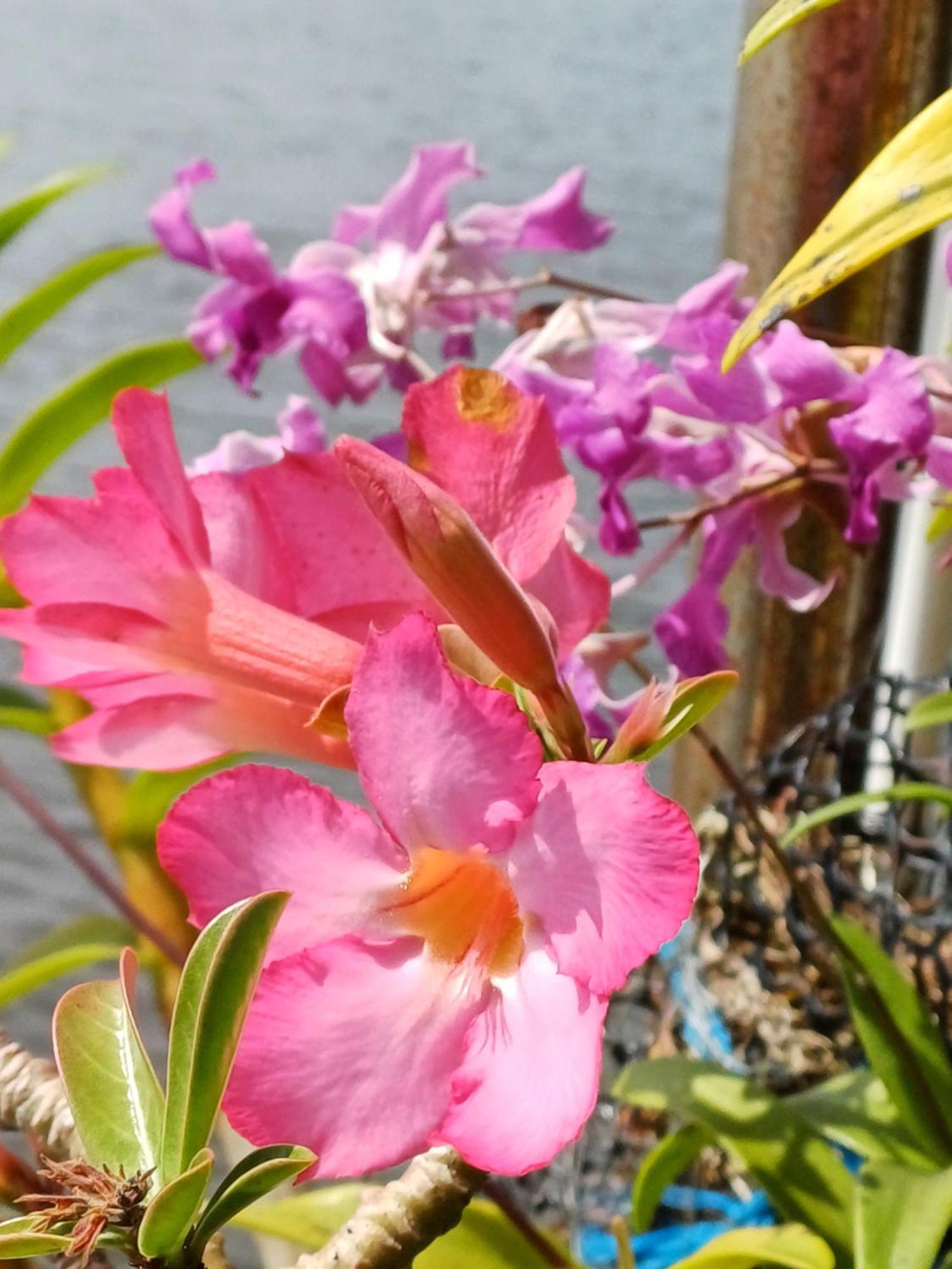 Villa River View อลุทกามา ภายนอก รูปภาพ
