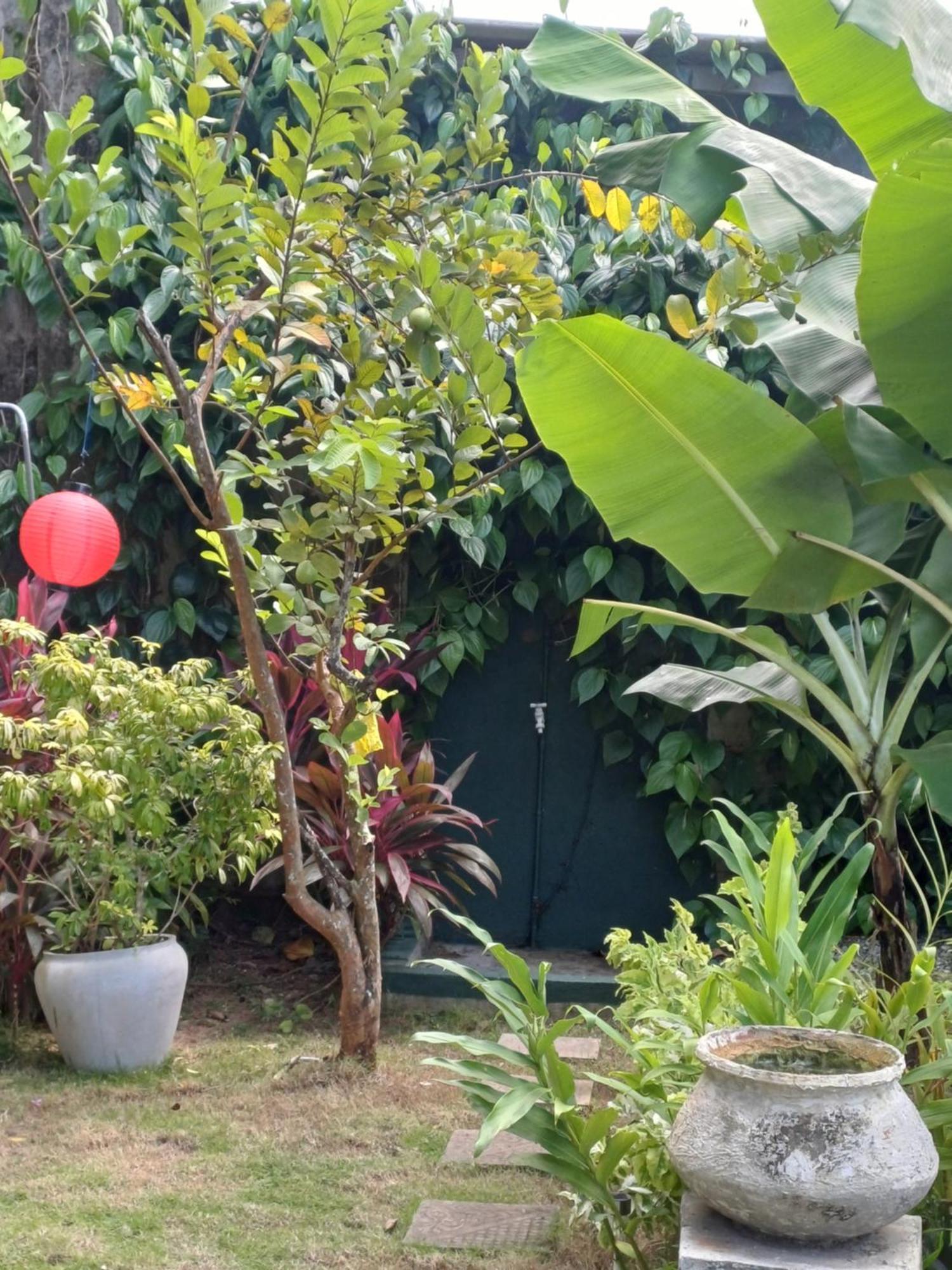 Villa River View อลุทกามา ภายนอก รูปภาพ